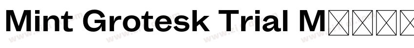 Mint Grotesk Trial M字体转换